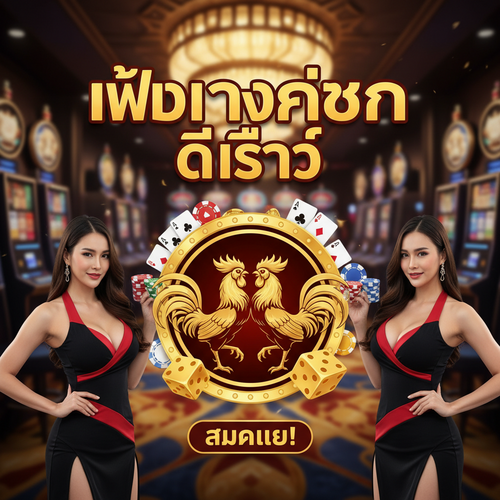 เว็บแทงไก่ชน ดีที่สุด